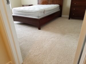 connecticut carpet installation plush (273)